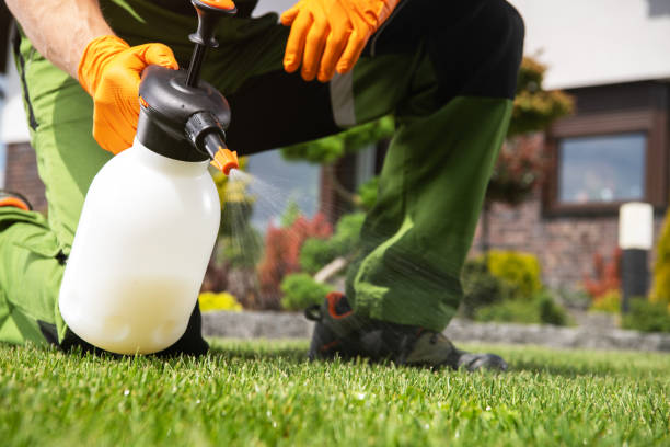 Best Pest Control Near Me  in Moundsville, WV