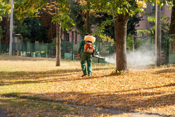 Best Exterminator Services  in Moundsville, WV