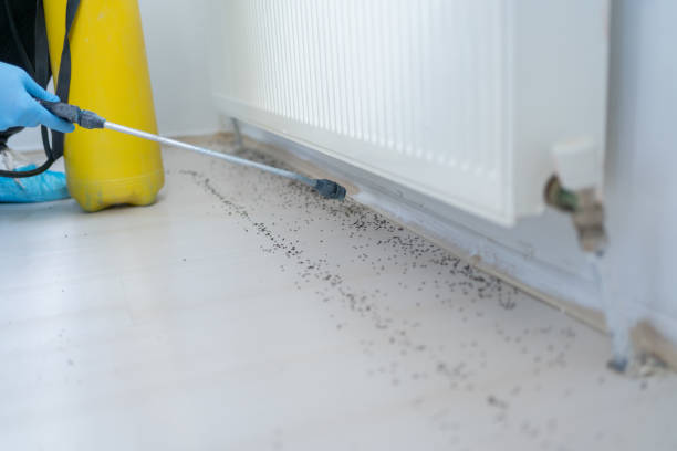 Pest Control Cost in Moundsville, WV